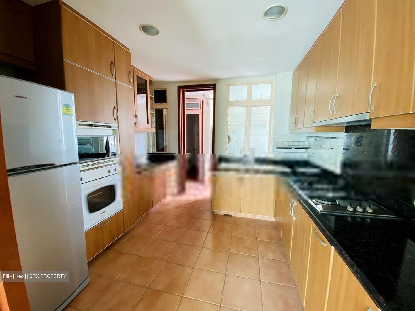 Melrose Park (D10), Condominium #413449371
